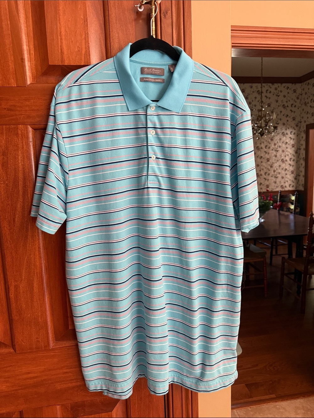 Daniel Cremieux Aqua Striped Polo with Pink and Navy Accents